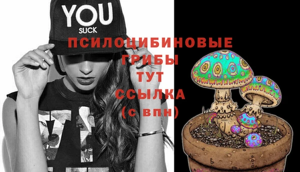 дмт Бугульма