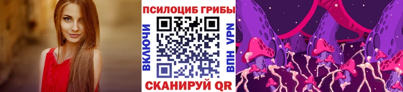 гидра как войти  Мурманск  Галлюциногенные грибы прущие грибы 